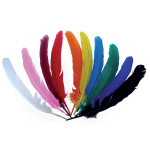 10 grandes plumes d'indiens