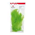 Plumes - Vert clair - 10-15 cm - 2 g