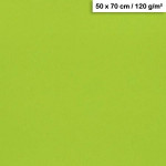Feuille de papier Maya 50 x 70 cm 120 g/m² - Vert mousse