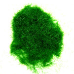 Flocage herbe Vert foncé 50 g